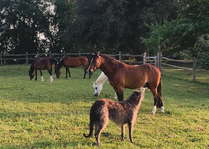 Le Buscagneau Nyaraló Béraut