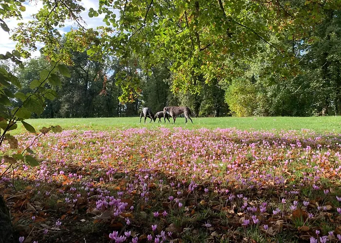 Le Buscagneau Nyaraló *