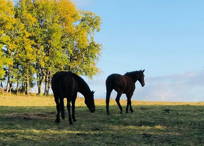Le Buscagneau * Béraut