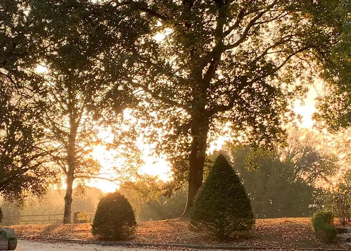 Le Buscagneau Nyaraló