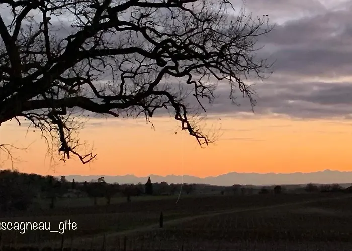 Le Buscagneau * Béraut