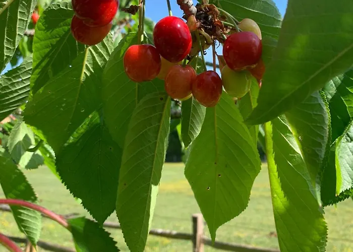 Nyaraló Le Buscagneau *