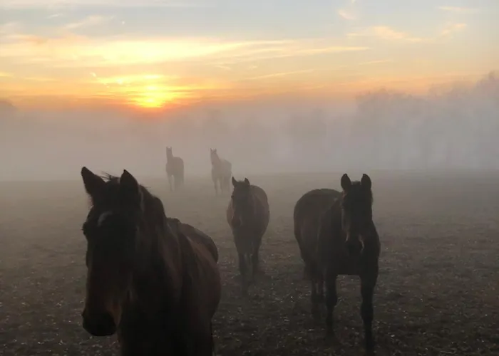 Nyaraló Le Buscagneau Béraut