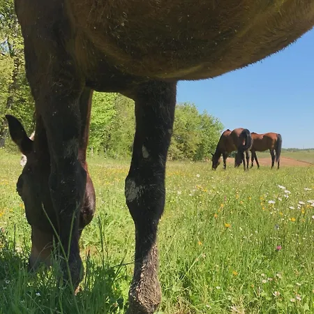 Le Buscagneau Béraut