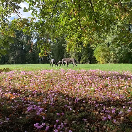 Le Buscagneau Feriehus *