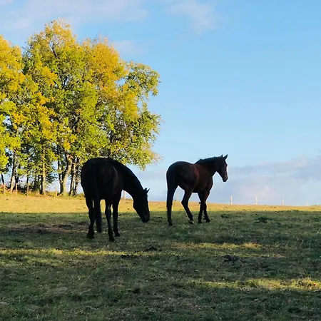 Le Buscagneau * Béraut