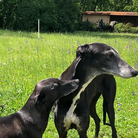 Le Buscagneau Feriehus Béraut