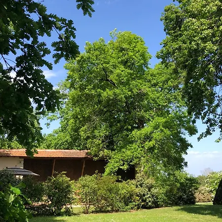 Holiday home Le Buscagneau Beraut