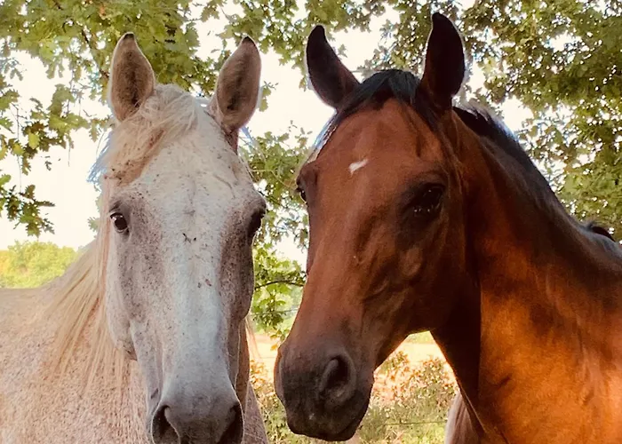 Tatil Evi Le Buscagneau Béraut