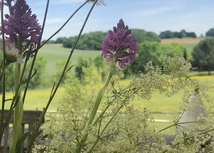 Le Buscagneau Tatil Evi