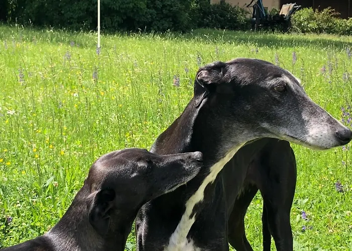 Le Buscagneau Tatil Evi Béraut